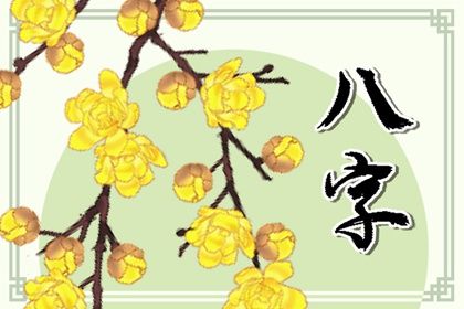 数字化排盘时代