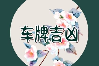 如何读本页结果