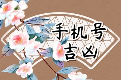 号码吉凶是什么