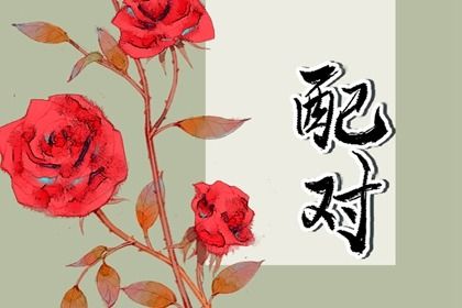 姻缘合盘免费_合婚婚姻配对_配对生肖