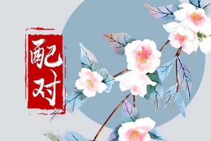 买车看日子选吉日_初八提车日子好不好_购车吉日2026_买车吉日_万年历吉日