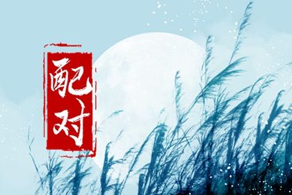 三合六合六冲在生活中的投射