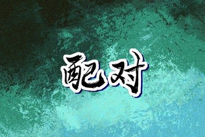 夫妻宫(日支)与婚后相处