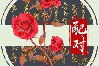 十神与婚姻角色
