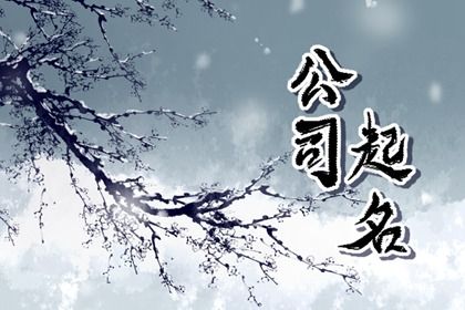 冲克生肖的字一定不能用吗