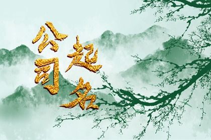 公司名与商标