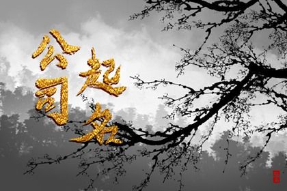八字无水精神病,算命配偶年龄,华易算命,算卦批八字,八字看官运