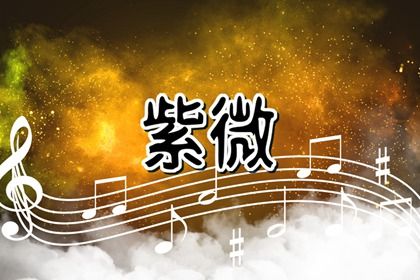 如何读本页结果