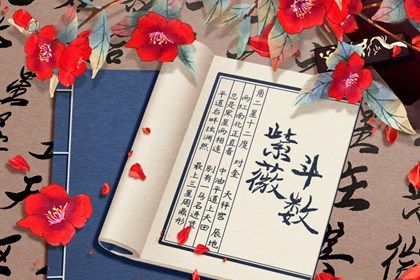 如何读本页结果
