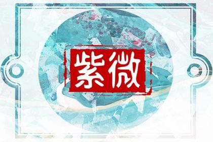 在线排盘看什么